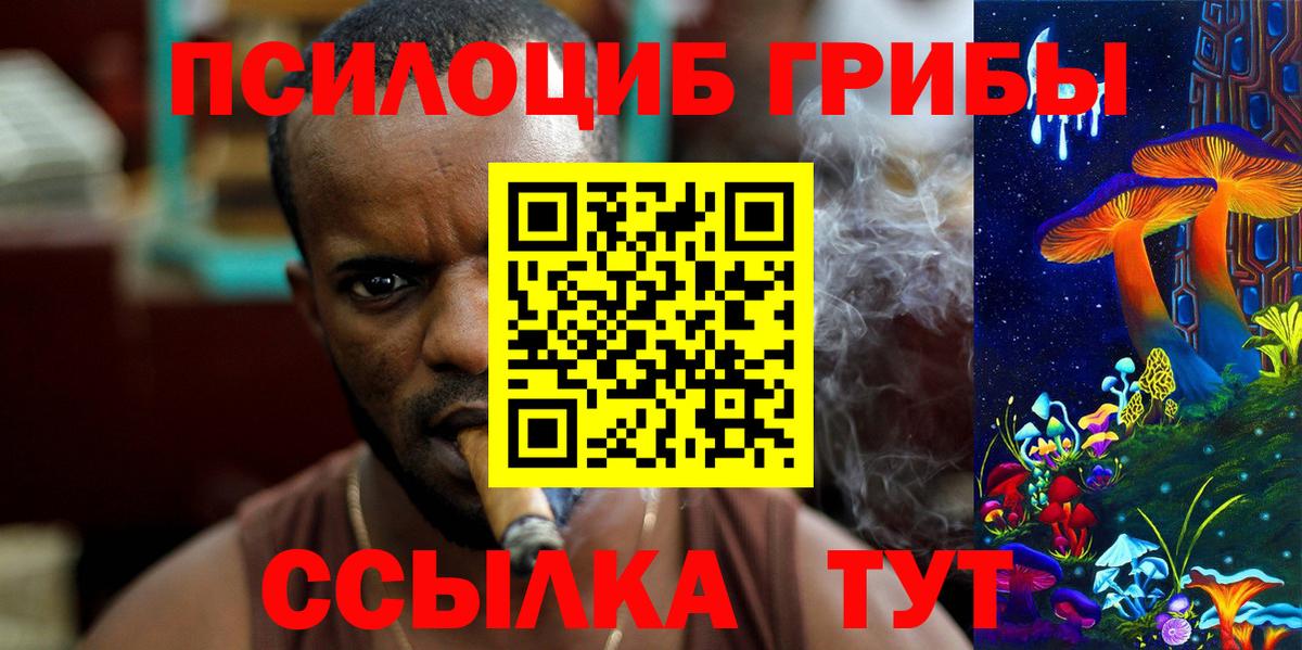 как найти наркотики  Вход с VPN  Павлово  Галлюциногенные грибы Magic Shrooms 