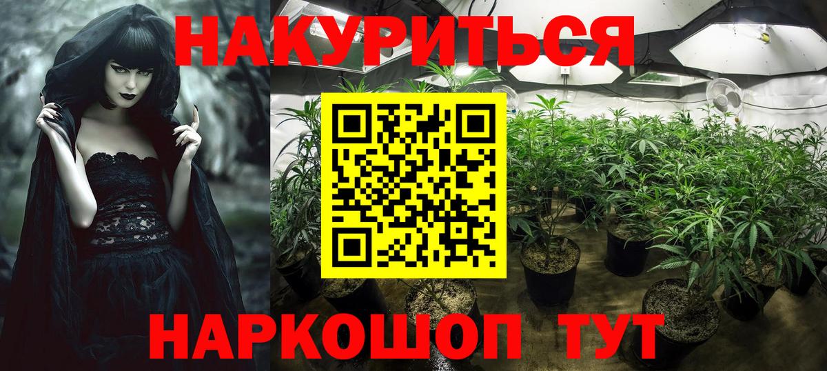 Павлово  Бошки Шишки план  Бошки Шишки Ganja  Вход с VPN  Бошки Шишки сатива 